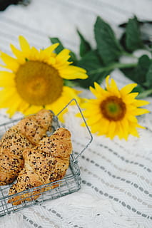 resting, blanket, summer, white, time, holidays, vacations, outdoor, lifestyle, white blanket, outside, sunny, light, croissant, food, yellow, sunflower, freshness, table, close-up, flower, food and drink, no people, flowering plant, plant, flower head, focus on foreground, nature, still life, baked, inflorescence, fragility, vulnerability, beauty in nature, temptation, 4K