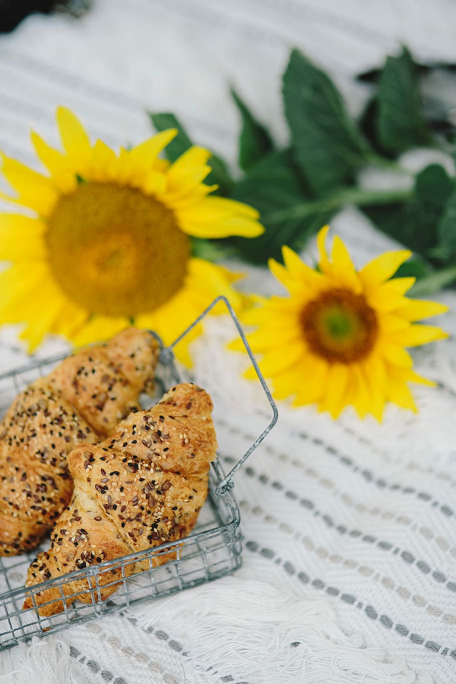 hvilende, tæppe, sommer, hvid, tid, helligdage, ferier, udendørs, livsstil, hvidt tæppe, uden for, solrig, lys, croissant, mad, gul, solsikke, friskhed, bord, tæt på, blomst, mad og drikke, ingen mennesker, blomstrende plante, plante, blomsterhoved, fokus på forgrunden, natur, stilleben, bagt, blomsterstand, skrøbelighed, sårbarhed, skønhed i naturen, fristelse, 4K