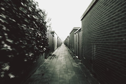 die Architektur, Gebäude, Struktur, Einrichtung, Gasse, verwischen, Schwarz und weiß, Richtung, der Weg nach vorn, abnehmende Perspektive, gebaute Struktur, Fußweg, keine Leute, Fluchtpunkt, Tag, Gebäudehülle, Natur, draußen, eng, Himmel, klarer Himmel, selektiver Fokus, Pflanze, Abwesenheit, lange, 5K, CC0, gemeinfrei, lizenzfrei