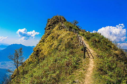 scenic, view, mountain, background, clouds, countryside, daylight, fog, foggy, grass, hazy, high, hike, hill, idyllic, landscape, mist, misty, murky, plants, railings, scenery, sky, thailand, tourism, tranquil, travel, trees, royalty  images, plant, beauty in nature, tree, nature, scenics - nature, cloud - sky, environment, blue, leisure activity, activity, non-urban scene, tranquility, tranquil scene, hiking, land, day, lifestyles, outdoors, 2K, CC0, public domain, royalty free