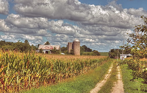 graner, rústic, graners, ohio, art digital, rural, escènic, país, camp, paisatge, cobert, coberts, granja, granges, agricultura, agrícola, Masia, campanar, comtat, americana, foto, fotografia, estructura, estructures, sturgell, William Sturgell, factura sturgell, històric, decoració de la llar, edificis, núvols, cel, arbre, arbres, ennuvolat, cels, males herbes, comtat del campanar, urbana, núvol - cel, planta, terra, creixement, naturalesa, arquitectura, exterior de l'edifici, estructura construïda, medi ambient, escena rural, dia, direcció, el camí a seguir, bellesa a la natura, herba, cap gent, a l'aire lliure, 5K, CC0, domini públic, lliure de regalies