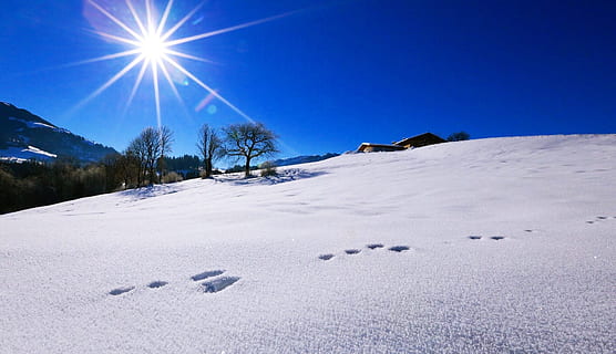 montanhas, Dom, esquema, inverno, neve, temperatura fria, natureza, azul, cor branca, céu, luz solar, panorama, meio Ambiente, scenics - natureza, reflexo de lente, árvore, beleza na natureza, raio de Sol, tranquilidade, ninguém, plantar, ao ar livre, montanha coberta de neve, pó de neve, 1080P, CC0, domínio público, royalty free