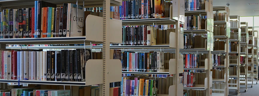livres, bibliothèque, lis, signets, étagère à livres, étagère, livre, publication, éducation, grand groupe d'objets, apprentissage, abondance, à l'intérieur, Littérature, choix, dans une rangée, variation, personne, ordre, arrangement, collection, librairie, en train d'étudier, cahier de texte, 4K, CC0, domaine public, libre de droits