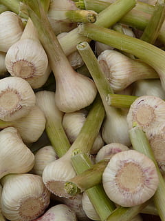 All, agut, aromàtic, tubercle, substancial, olor, planta medicinal, verdures, blanc, menjar, espècia, herba, frisch, frescor, menjar i beguda, alimentació saludable, benestar, vegetals, fons, natura morta, marc complet, cap gent, vista d’angle alt, gran grup d'objectes, mercat, primer pla, aliments crus, a la venda, ceba, a l'interior, abundància, ceba tendra, menjar vegetarià, 2K, CC0, domini públic, lliure de regalies