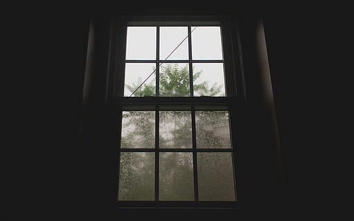 gråtonebilder, sash vindu ruten, vanndråper, vindusrute, vindu, tre, regn, himmel, blad, silhouette, ruten, kontrast, storm-, lys, mørke, våt, innendørs, glass - materiale, gjennomsiktig, ingen folk, dag, anlegg, natur, arkitektur, hjem interiør, vekst, vinduskarm, bygget struktur, mørk, kopiere plass, bygning, firkantet form, 4K, CC0, offentlig domene, opphavsrett gratis