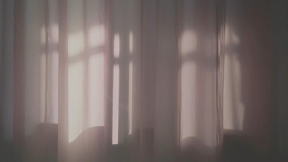 blanc, cortina de la finestra, copejat, llum, ombra, edifici, paret, reflexió, cortina, cap gent, boira, finestra, dia, llum solar, naturalesa, interior de casa, a l'interior, tèxtil, bellesa a la natura, tranquil·litat, arbre, al matí, sol, arquitectura, planta, misteri, 2K, CC0, domini públic, lliure de regalies