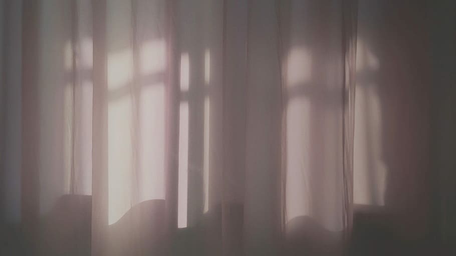 blanc, cortina de la finestra, copejat, llum, ombra, edifici, paret, reflexió, cortina, cap gent, boira, finestra, dia, llum solar, naturalesa, interior de casa, a l'interior, tèxtil, bellesa a la natura, tranquil·litat, arbre, al matí, sol, arquitectura, planta, misteri, 2K