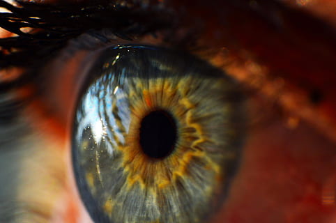fotografia macro, persona, ull, ull humà, iris, macro, vista, còrnia, primer pla, visió, mira, anatomia, òptica, colorit, mirant, pestanyes, parpella, percepció sensorial, iris - ull, primer pla extrem, part del cos humà, part del cos, pestanya, una persona, globus ocular, reflexió, persona irreconeixible, retrat, mirant la càmera, bellesa, dona guapa, ulls color avellana, rostre humà, 1080P, CC0, domini públic, lliure de regalies