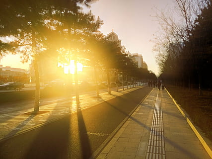 header, gade, sol, træ, sollys, solnedgang, himmel, linseflare, natur, solstråle, transportmidler, plante, arkitektur, by, retning, silhuet, transportform, bygning udvendig, udendørs, bygget struktur, vejen frem, rejse, ingen mennesker, 5K, CC0, offentligt domæne, royaltyfrie