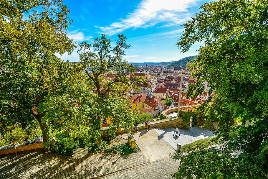 pragaras, pilis, vaizdas, bokštas, medžiai, Miestas, Prahoje, pilis, turizmą, viduramžių, Europa, dangus, kalnas, medis, architektūra, lauke, miesto scenoje, gatvė, žinoma vieta, miesto vaizdą, pobūdį, namas, nėra žmonių, gyvenamasis pastatas, augalų, pastatyta struktūra, pastato išorė, augimą, dieną, pastatas, debesis - dangus, žalia spalva, gyvenamasis rajonas, saulės šviesa, grožis gamtoje, vanduo, miestelis, 4K