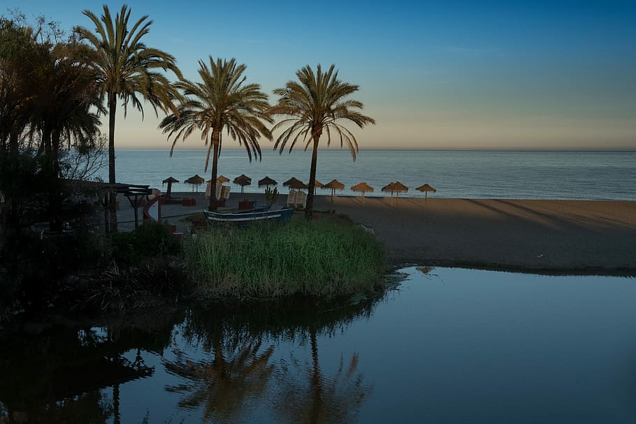พระอาทิตย์ตกดิน, Marbella, แม่น้ำ, ชายหาด, ท้องฟ้า, สีน้ำเงิน, ขอบฟ้า, เงียบสงบ, ความสงบเงียบ, แสงไฟ, ฝ่ามือ, เบา, การผ่อนคลาย, วันหยุด, น้ำ, ความงาม, ต้นปาล์ม, การสะท้อน, ทะเล, ต้นไม้, สภาพภูมิอากาศแบบร้อนชื้น, ปลูก, ขอบฟ้าเหนือน้ำ, Scenics - ธรรมชาติ, ธรรมชาติ, ที่ดิน, ความเงียบสงบ, ความงามในธรรมชาติ, ฉากที่เงียบสงบ, การเจริญเติบโต, ไม่มีคน, กลางแจ้ง, ต้นมะพร้าว, สระว่ายน้ำ, 4K