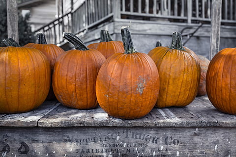 selective, color, pumpkin photo, selective color, pumpkin, photo, objects, lazy, fall, pumpkins, farm, orange, halloween, autumn, wood - Material, vegetable, food, no People, food and drink, freshness, healthy eating, day, wellbeing, orange color, celebration, outdoors, focus on foreground, nature, arrangement, side by side, close-up, still life, ripe, 5K, CC0, public domain, royalty free