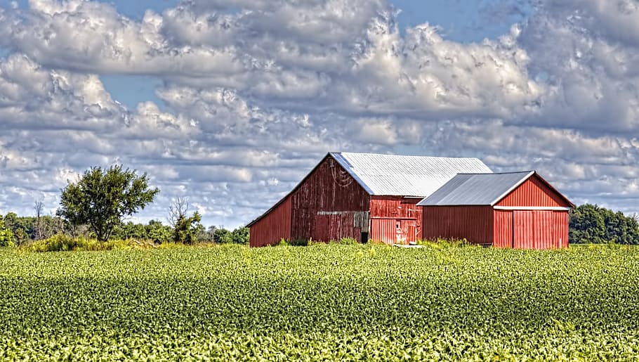 fienile, rustico, fienili, Ohio, arte digitale, rurale, panoramico, nazione, campagna, scenario, capannone, capannoni, azienda agricola, aziende agricole, agricoltura, agricolo, agriturismo, champagne, contea, americana, foto, fotografia, struttura, strutture, Sturgell, William Sturgell, Bill Sturgell, storico, Home decor, edifici, nuvole, cielo, albero, alberi, nuvoloso, cieli, erbacce, contea di champagne, urbana, nuvola - cielo, pianta, campo, terra, architettura, esterno dell'edificio, colore verde, struttura costruita, scena rurale, natura, paesaggio, raccolto, costruzione, Casa, ambiente, giorno, nessuno, all'aperto, 4K