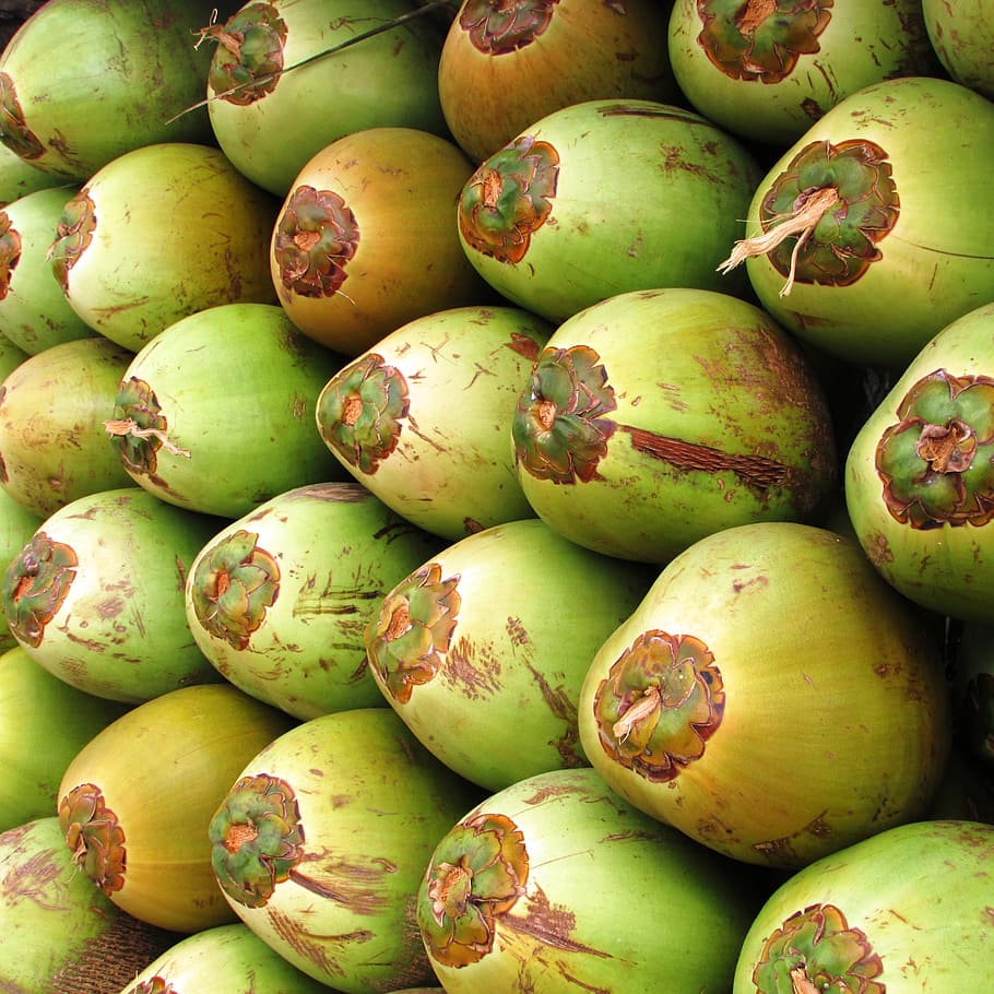 cocos, fruita, coco, verd, llavor, drupa, tropical, exòtic, shiggaon, Índia, pila, mercat, menjar i beguda, menjar, alimentació saludable, benestar, fons, marc complet, color verd, frescor, gran grup d'objectes, abundància, a la venda, natura morta, venda al detall, fruita de mango, cap gent, fruita tropical, primer pla, Paradeta, orgànic, venda, madur, 2K