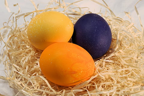 Pasen, paasei, ei, Paas eieren, kleurrijk, easter egg schilderij, kleur, decoratie, gelukkig Pasen, verf, Pasen nest, schilderij, de lente, paasgroet, gekleurde, paasstemming, voedsel, eten en drinken, dieren nest, viering, geen mensen, versheid, vakantie, binnenshuis, stilleven, detailopname, dierlijk ei, hooi-, hoge hoekmening, welzijn, fabriek, groep objecten, 4K, CC0, publiek domein, royaltyvrij