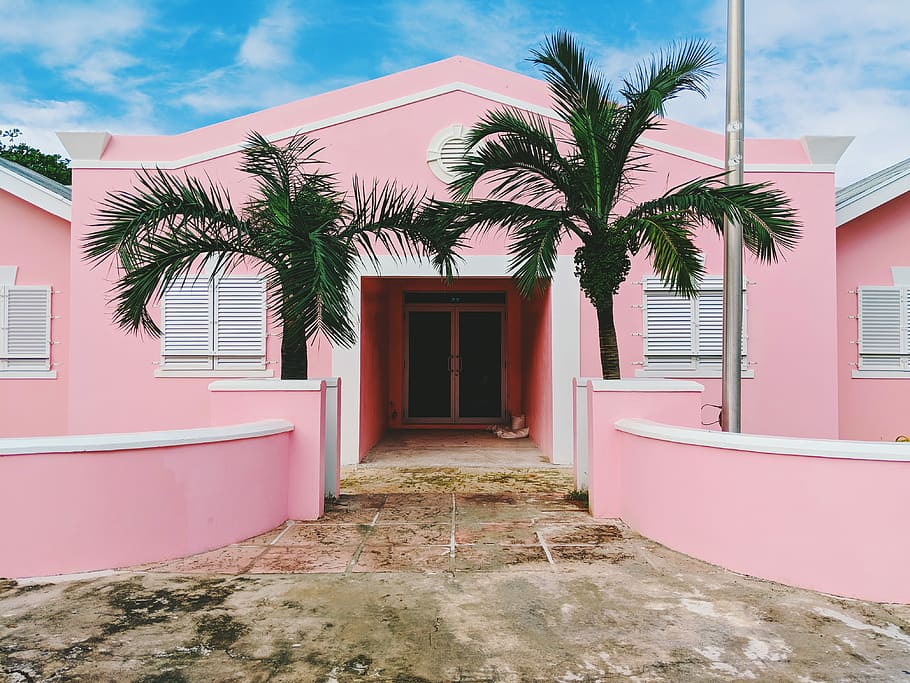 rosa, blanc, concret, casa, verd, arbres, ennuvolat, cel, casa de planta baixa, palmeres, edifici, arquitectura, arbre, Palmera, estructura construïda, exterior de l'edifici, entrada, porta, finestra, dia, clima tropical, planta, barri residencial, color rosa, naturalesa, cap gent, a l'aire lliure, tancat, 4K
