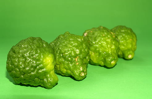 bergamota, Fruta, hoja, aislado, Tailandia, áspero, limón, natural, tropical, verde, herbario, orgánico, Lima, agrios, Asia, vegetal, tailandés, pelo, cocina, kaffir, hierba, ingrediente, antiguo, Fresco, comida, asiático, crudo, fondo de color, color verde, comida y bebida, foto de estudio, frescura, fondo verde, alimentación saludable, bienestar, adentro, naturaleza muerta, nadie, de cerca, separar, grupo de objetos, especia, comida dulce, tentación, 2K, CC0, dominio público, libre de derechos