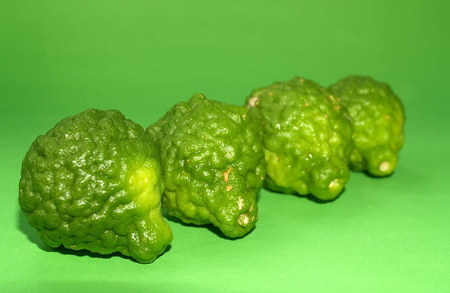 bergamota, fruita, full, aïllat, Tailàndia, aspre, llimona, natural, tropical, verd, herbes, orgànic, Lima, cítrics, asia, vegetals, tailandès, cabell, cuina, kaffir, herba, ingredient, antic, fresc, cuinar, menjar, asiàtic, crua, fons de colors, color verd, menjar i beguda, tir de l'estudi, frescor, fons verd, alimentació saludable, benestar, a l'interior, natura morta, cap gent, primer pla, tallar, grup d'objectes, espècia, menjar dolç, temptació, 2K