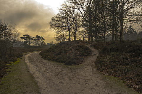 natuur, Bos, looppad, bomen, boom, de weg vooruit, landschap, geen mensen, weg, fabriek, richting, kalmte, hemel, milieu, land-, schoonheid in de natuur, scenics - natuur, vuil, wolk - lucht, niet-stedelijke scène, voetpad, groei, zandweg, buitenshuis, spoor, 5K, CC0, publiek domein, royaltyvrij