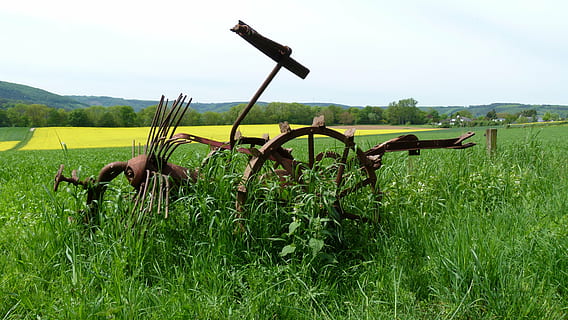 strumento, ruggine, natura, vecchi tempi, pianta, campo, erba, terra, paesaggio, agricoltura, colore verde, scena rurale, nessuno, cielo, crescita, ambiente, macchinari agricoli, giorno, prato, raccolto, pianura, all'aperto, azienda agricola, 4K, CC0, dominio pubblico, privo di copyright