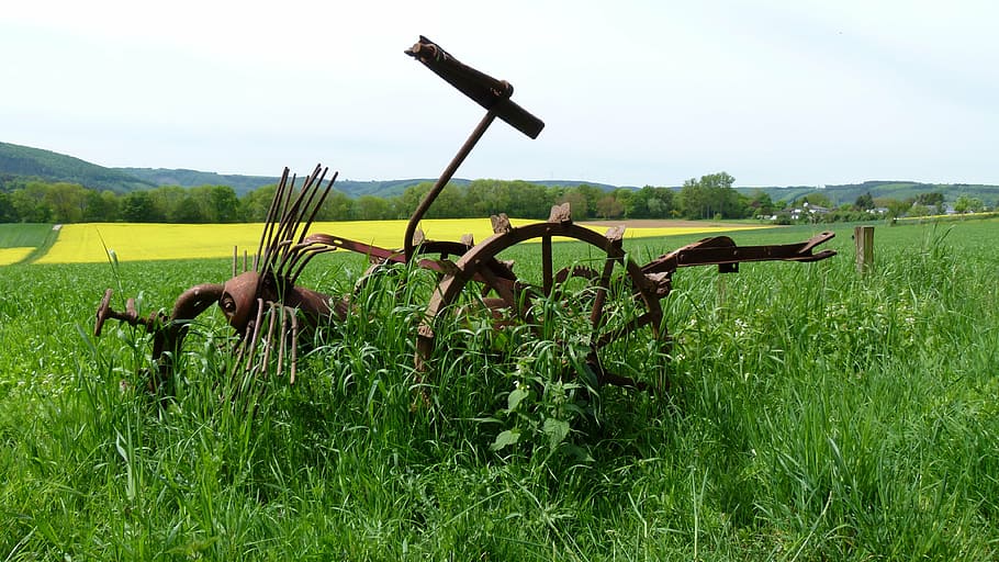 strumento, ruggine, natura, vecchi tempi, pianta, campo, erba, terra, paesaggio, agricoltura, colore verde, scena rurale, nessuno, cielo, crescita, ambiente, macchinari agricoli, giorno, prato, raccolto, pianura, all'aperto, azienda agricola, 4K