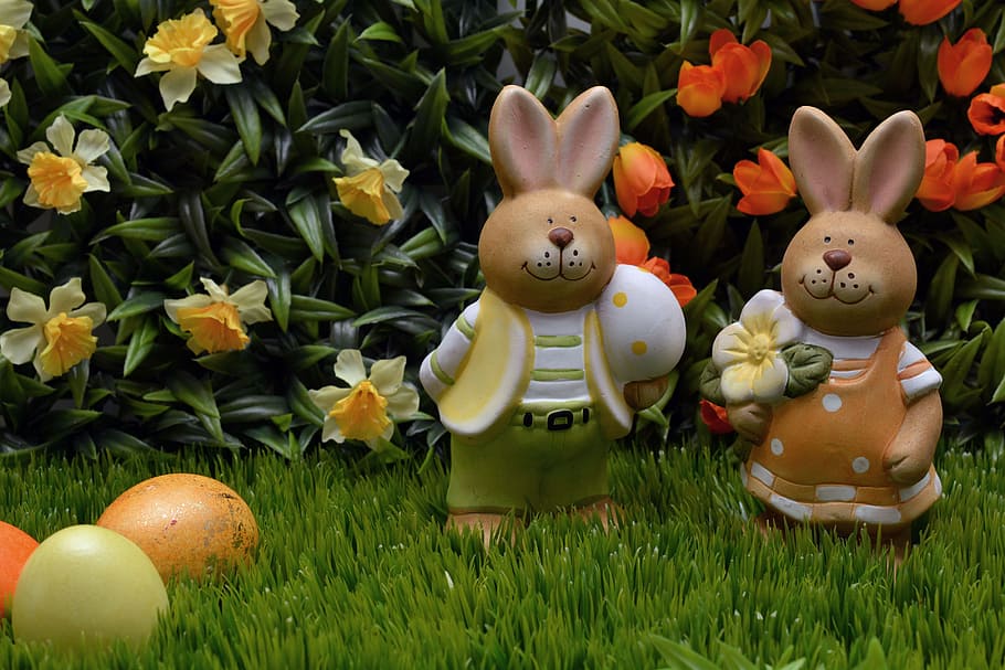 Osterhase, Häschen, Hase, Ostern, Ostereier, Ei, Gelb, Orange, Blumen, Frühling, Gras, Osterdekoration, Dekoration, Frohe Ostern, Osterei, Ostergrüße, Osterfeier, Feier, Blume, Kulturen, keine Leute, Darstellung, Pflanze, Tierdarstellung, Urlaub, Natur, grüne Farbe, blühende Pflanze, Lebensmittel, Kunst und Handwerk, Frische, Nahansicht, draußen, Blütenkopf, 4K