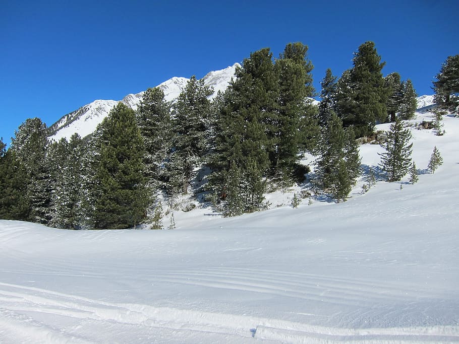 peisaj de iarnă, pădure, zăpadă, pin, conifer, copaci, traseu de schi, rece, natură, în aer liber, copac, plantă, iarnă, temperatura rece, frumusețe în natură, Munte, scenice - natura, cer, creştere, liniște, scenă non-urbană, zi, culoare alba, nici o persoana, o scenă liniștită, teren, Brad, un munte acoperit de zăpadă, 2K