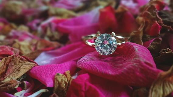 gold-colored diamond solitaire ring, ring, wedding, light, soft, roses, gold, crystal, red, flower, close-up, flowering plant, plant, beauty in nature, petal, freshness, diamond - gemstone, plant part, leaf, nature, focus on foreground, no people, celebration, fragility, vulnerability, event, pink color, selective focus, flower head, purple, pollen, luxury, 4K, CC0, public domain, royalty free
