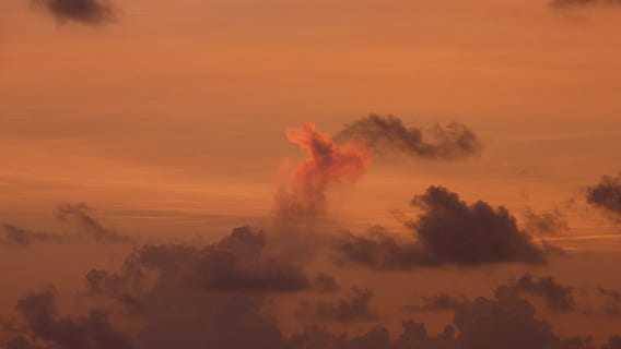 tramonto, Morgenrot, cielo, nuvole, Alba, rosso, nuvola - cielo, bellezza nella natura, nessuno, scenics - natura, ambiente, albero, natura, la tranquillità, scena tranquilla, all'aperto, crepuscolo, silhouette, paesaggio, terra, nebbia, fumo - struttura fisica, scena non urbana, inquinamento, 4K, CC0, dominio pubblico, privo di copyright