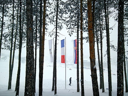 Zlatibor, bjerg, træer, flag, sne, vinter, turisme, serbien, træ, natur, Skov, udendørs, ingen mennesker, patriotisme, plante, kold temperatur, bagagerum, træstamme, jord, ro, dag, ikke-urbane scene, skønhed i naturen, vækst, miljø, uafhængighed, snedækket bjerg, 2K, CC0, offentligt domæne, royaltyfrie