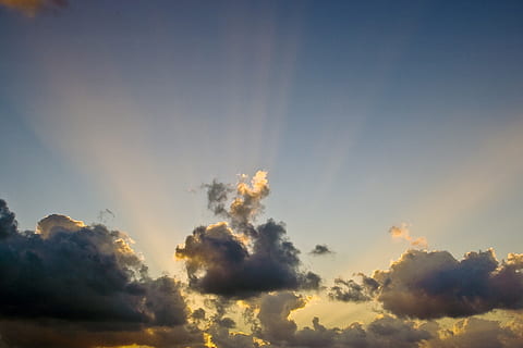 natura, cielo, nuvole, sole, raggi, luce, Linee, blu, giallo, nuvola - cielo, bellezza nella natura, ambiente, luce del sole, scenics - natura, la tranquillità, nessuno, all'aperto, scena tranquilla, raggio di sole, tramonto, idilliaco, giorno, copia spazio, nebbia, mattina, albero, inquinamento, luminosa, 2K, CC0, dominio pubblico, privo di copyright