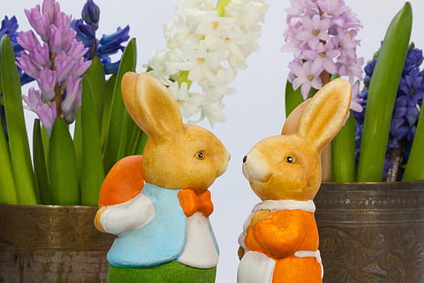 Påske hare, påske, hare, bunny par, osterhasen få, figur, par, skikke, brugerdefinerede, påskeæg, farverig, malet, hyacinthyacint, hyacintus orientalis, asparges-familien, asparges plante, grøn, lyserød, hvid, blå, orange, mand, kvinde, elskere, øre, kanin øre, kærlighed, påske figur, nuttet, messing vase, messing krus, blomst, blomstrende plante, plante, friskhed, repræsentation, dyr repræsentation, ingen mennesker, tæt på, dekoration, natur, indendørs, fest, mad, ferie, Kunst og håndværk, skrøbelighed, sårbarhed, kreativitet, forår, blomsterhoved, 4K, CC0, offentligt domæne, royaltyfrie