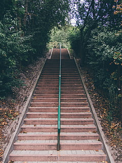 stairs, trees, railing, perspective, direction, the way forward, plant, tree, nature, diminishing perspective, transportation, rail transportation, day, no people, footpath, track, growth, railroad track, outdoors, high angle view, architecture, metal, staircase, connection, long, parallel, 4K