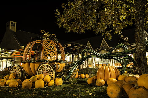 carbassa, caure, Halloween, llanterna, fruita, arbre, menjar i beguda, planta, menjar, naturalesa, alimentació saludable, cap gent, nit, mercat, frescor, a l'aire lliure, vegetals, a la venda, groc, gran grup d'objectes, benestar, Paradeta, il·luminat, 4K, CC0, domini públic, lliure de regalies