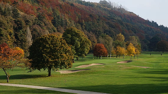 golf, copaci, toamnă, copac, natură, teren de golf, în aer liber, iarbă, Culoarea verde, sportiv, peisaj, scenics, sport și fitness, imagine color, liniște, creştere, zi, plantă, frumusețe în natură, o scenă liniștită, nici o persoana, scenice - natura, Schimbare, scenă non-urbană, idilic, 5K, CC0, domeniu public, fără drepturi de autor