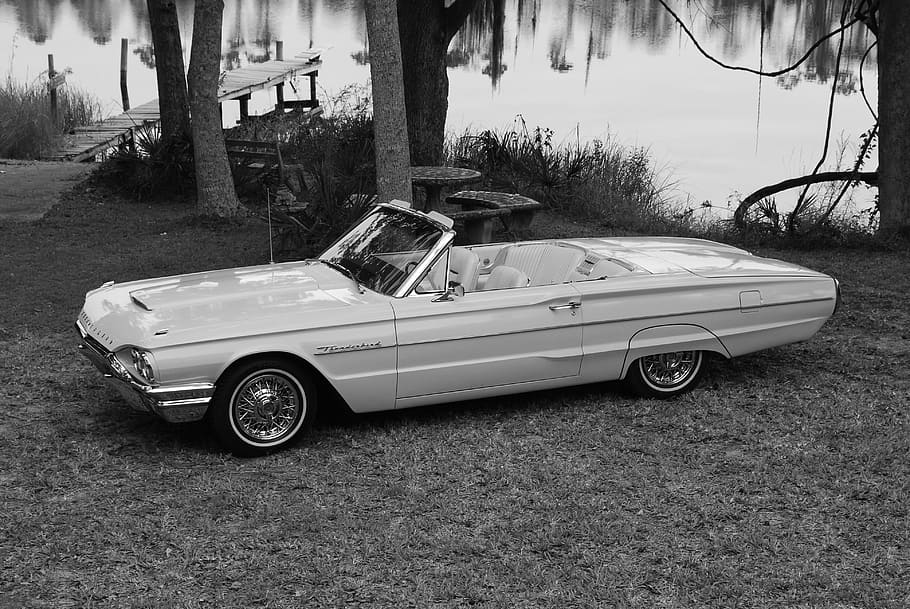 Thunderbird, ford, cotxe, automàtic, automòbil, antiguitat, clàssic, manera de transport, vehicle terrestre, transport, dia, cotxe d'època, estil retro, cap gent, planta, arbre, naturalesa, arquitectura, a l'aire lliure, estructura construïda, convertible, terra, estacionari, ciutat, luxe, 4K
