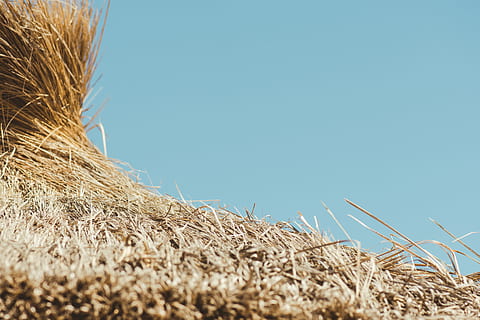 normes, tercer, fotografia, marró, fenc, foto, palla, protecció, blat, fenceria, paller, agricultura, naturalesa, escena rural, estiu, cel, blau, granja, cultiu, a l'aire lliure, camp, sec, cap gent, collita, planta de cereals, dia, planta, cel clar, paisatge, còpia espai, bala, terra, 5K, CC0, domini públic, lliure de regalies