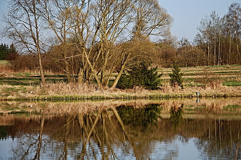 estany, superfície, reflexió, arbres, vora de l'estany, ledenice, mlejňák, primavera, arbre, aigua, planta, tranquil·litat, llac, naturalesa, bellesa a la natura, cel, escenics - natura, cap gent, escena tranquil·la, creixement, dia, davant del mar, terra, escena no urbana, remot, a l'aire lliure, pantà, 2K, CC0, domini públic, lliure de regalies