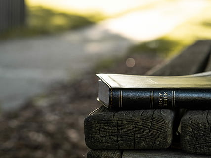 holy, bible, black, wooden, bench, brown, scripture, beliver, christian, sidewalk, chair, read, book, path, morning, light, religion, faith, religious, religiou, no people, focus on foreground, day, publication, close-up, wood - material, outdoors, absence, old, nature, still life, water, selective focus, single object, landscape, container, education, leather, 5K, CC0, public domain, royalty free