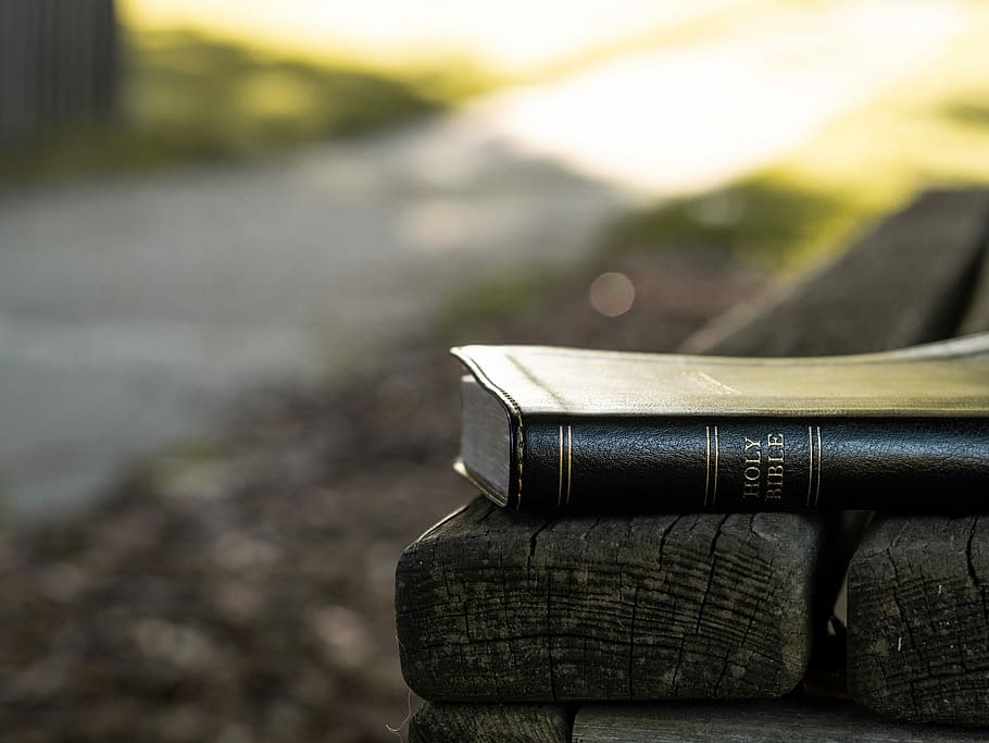 Sant, bíblia, negre, fusta, banc, marró, Escriptura, creient, cristià, vorera, cadira, llegir, llibre, Camí, al matí, llum, religió, fe, religiós, cap gent, centrar-se en primer pla, dia, publicació, primer pla, material de fusta, a l'aire lliure, absència, vell, naturalesa, natura morta, aigua, enfocament selectiu, sol objecte, paisatge, contenidor, educació, cuir, 5K