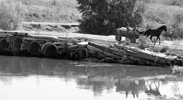 cart, pod, reflecţie, apă, rural, cal, animale tematice, mamifer, în aer liber, zi, animal, malul mării, copac, animale domestice, plantă, șeptel, natură, animale vertebrate, intern, lac, animale de companie, grup de animale, nici o persoana, 5K, CC0, domeniu public, fără drepturi de autor