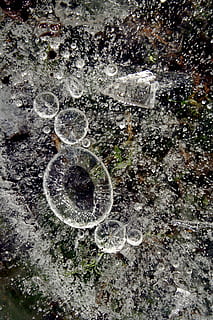 gel, bombolla, aigua, fred, guai, congelat, abstracció, macro, hivern, natural, resum, cap gent, naturalesa, primer pla, vista d’angle alt, directament a sobre, dia, temperatura de fred, a l'aire lliure, creixement, bellesa a la natura, fragilitat, humit, planta, puresa, 2K, CC0, domini públic, lliure de regalies