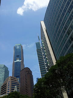 niedrig, Winkel Foto, Weiß, grau, Hochhaus, Gebäude, kleiner Winkel, Foto, Wolkenkratzer, die Architektur, städtische Szene, Bürogebäude, modern, Gebäudehülle, gebaute Struktur, Geschäft, Stadt, Innenstadt, Turm, Stadt leben, Stadtbild, Glas - Material, Architektur und Gebäude, Himmel, große Höhe, Bürogebäude außen, Büro, Flachwinkelansicht, Baum, Tag, Pflanze, Natur, wolke - himmel, keine Leute, draußen, Finanzviertel, 1080P, CC0, gemeinfrei, lizenzfrei