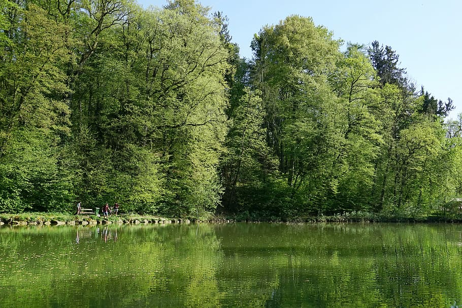 Grün, Bäume, Karosserie, Wasser, Natur, Baum, Wald, Frühling, Landschaft, Holz, Landschaftswald, Pflanze, See, grüne Farbe, Schönheit in der Natur, Wachstum, Ufergegend, Ruhe, Tag, Reflexion, Szenen - Natur, ruhige Szene, Nicht-städtische Szene, Gruppe von Leuten, echte Menschen, Laub, Land, draußen, 5K