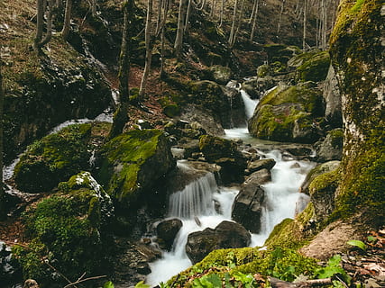 Wasser, Berg, Fluss, Strom, Felsen, moosgrün, Wald, Schnee, Langzeitbelichtung, Wasserfall, szenen, Moos, Bewegung, Natur, Rock - Objekt, keine Leute, Szenen - Natur, fließendes Wasser, Baum, Schönheit in der Natur, Rock, solide, Bewegungsunschärfe, Pflanze, Land, Felsformation, fließend, draußen, Kraft in der Natur, Regenwald, fallendes Wasser, 2K, CC0, gemeinfrei, lizenzfrei