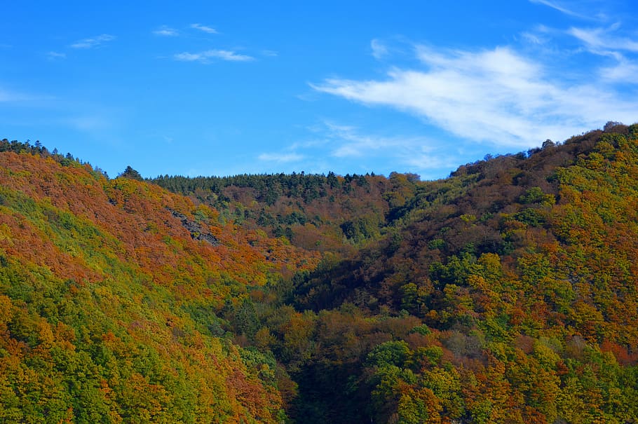 verd, marró, muntanya, clar, ennuvolat, cel, rurtalsperre, eifel, Alemanya, paisatge, muntanyes, bosc, bosc de tardor, senderisme, colorit, octubre, tardor, tardor daurat, fullatge de tardor, festa, recuperació, oci, naturalesa, arbre, full, groc, vermell, a l'aire lliure, color taronja, escenics, temporada, bellesa a la natura, escenics - natura, planta, tranquil·litat, escena tranquil·la, núvol - cel, dia, escena no urbana, cap gent, terra, canvi, creixement, idíl·lic, medi ambient, 5K