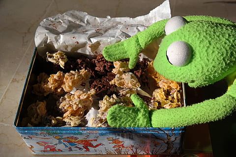 green, plush, toy, Frog, Kermit, Cookie, Nibble, Hunger, eat, small cakes, chocolate crisp happen, chocolate cornflakes cakes, chocolate cornflakes, cornflakes, cornflake cookies, chocolate cornflakes pile, bunch of cornflakes, chocolate crossies, chocolate, analyse, food and drink, indoors, close-up, no people, food, freshness, still life, representation, stuffed toy, sweet food, animal representation, indulgence, table, holiday, high angle view, sweet, unhealthy eating, dessert, nature, temptation, 5K, CC0, public domain, royalty free