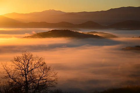 öster, träd, moln, himmel, berg, natur, trevlig, skog, Sol, landskap, frisk luft, moln - himmel, skönhet i naturen, miljö, dimma, solnedgång, scenics - natur, silhuett, växt, dramatisk himmel, orange färg, inget folk, lugn, morgon-, utomhus, bergstopp, 1080P, CC0, offentligt domän, royaltyfria