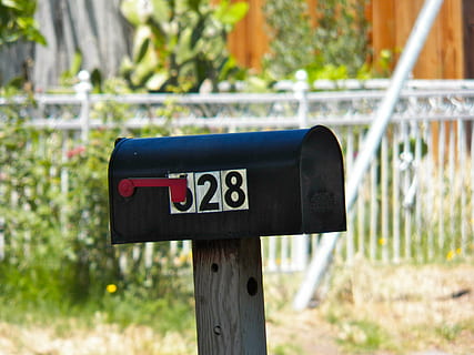 cassetta postale, numero, postale, casella postale, letterbox, comunicazione, numerato, pianta, concentrarsi sulle conoscenze acquisite, giorno, natura, cartello, all'aperto, posta, nessuno, legno - materiale, testo, giardino, albero, corrispondenza, giardino formale, erba, luce del sole, barriera, casella di posta pubblica, post in legno, letto di fiori, 4K, CC0, dominio pubblico, privo di copyright