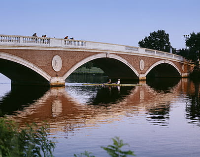 bro, flod, skulling, roning, båd, buer, landskab, udsigt, vand, afspejling, boston, Massachusetts, USA, bro - menneskeskabt struktur, bue, forbindelse, bygget struktur, arkitektur, transportmidler, natur, bue bro, plante, havnefronten, dag, himmel, træ, rejsemål, ingen mennesker, udendørs, 4K, CC0, offentligt domæne, royaltyfrie